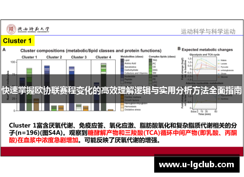 快速掌握欧协联赛程变化的高效理解逻辑与实用分析方法全面指南